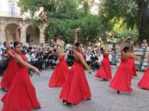 Flamenco-rouge