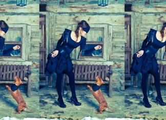 Elisa C-Rossow, une designer à découvrir!