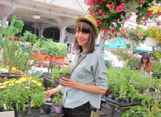street Jean-Talon