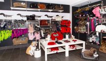 ChienMondain-boutique