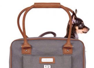 QUÉBEC: Une boutique de luxe pour chiens mondains!