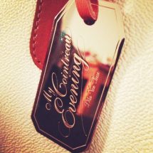 Detail-MyCointreauEvening-Bag