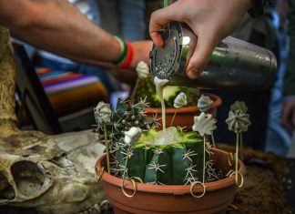 Québec : Des cocktails made with love!