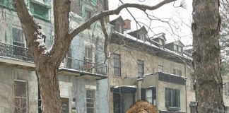 C’est l’hiver: trouvez le manteau qu’il vous faut!