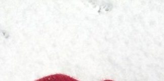 Québec: On fête l’amour à Igloofest