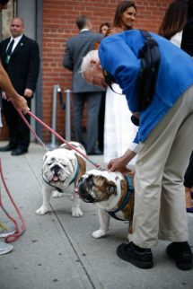 4beab4d44ed773a846cb67aa1a1fb7e4