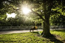 Grébovka park in Vinohrady