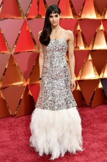 2017 Oscars Red Carpet Photos