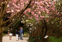botanicalgarden11m