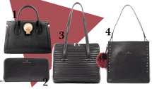 celine-dion-bags-compressor