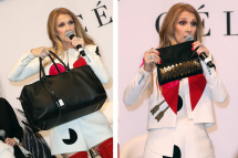 celine-dion4-compressor