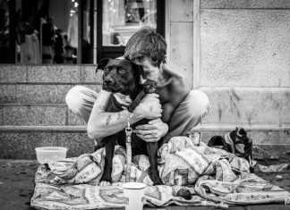 Boy Crush : Mikael Theimer