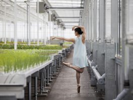 Les Grands Ballets x Fibres Collectives : une exposition à ne pas manquer