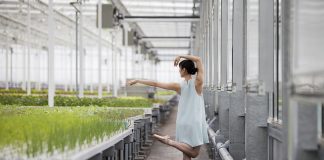 Les Grands Ballets x Fibres Collectives : une exposition à ne pas manquer