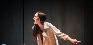 Le FTA est là!! Courez y embrasser la vérité du monde! Mes 5 choix.